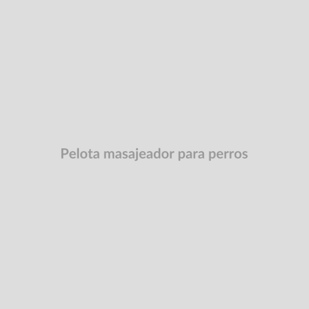 Pelota masajeador para perros
