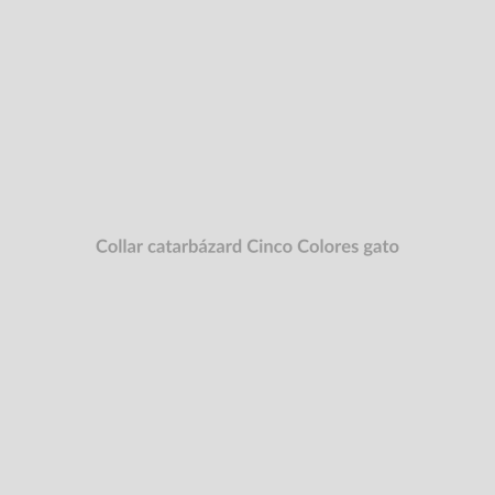 Collar catarbázard Cinco Colores gato